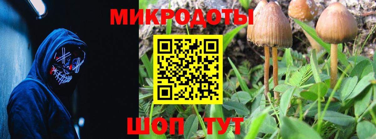 Галлюциногенные грибы ЛСД Зима